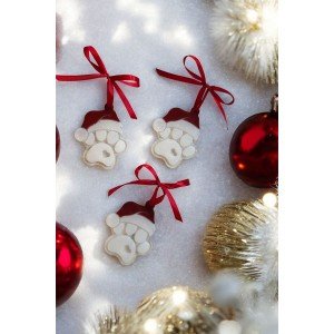 Σετ 3 χριστουγεννιάτικα στολίδια -  XMAS PAW - Ρητίνη