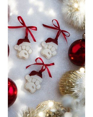 Σετ 3 χριστουγεννιάτικα στολίδια -  XMAS PAW - Ρητίνη