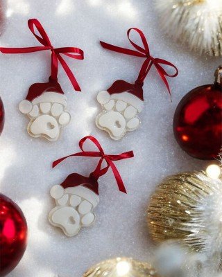 Σετ 3 χριστουγεννιάτικα στολίδια -  XMAS PAW - Ρητίνη