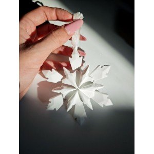 ΛΕΥΚΗ ΧΙΟΝΟΝΙΦΆΔΑ - Πορσελάνη